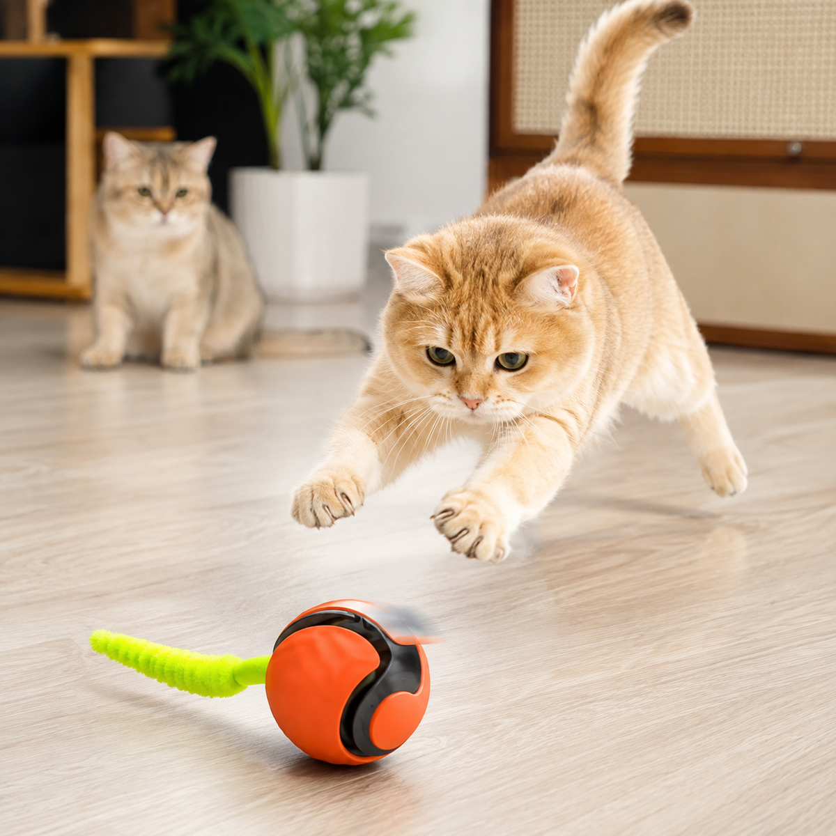 FurFree pet play and comfort collection