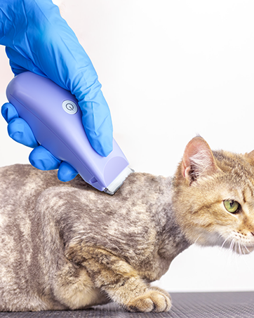 FurFree Grooming & Care collection with quiet pet grooming clipper in use