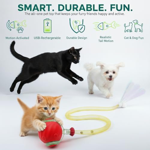 KIVELORA Smart Interactive Cat Ball
