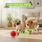 Cat and small dog playing together with the FurFree Smart Interactive Cat Ball