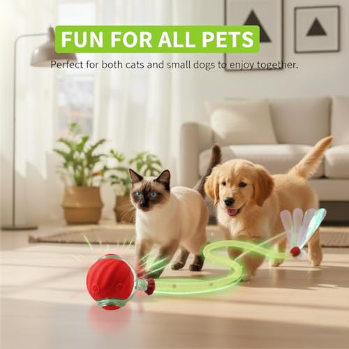 Cat and small dog playing together with the FurFree Smart Interactive Cat Ball