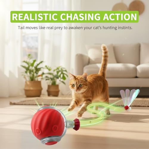 Cat chasing the FurFree Smart Interactive Cat Ball with realistic moving tail