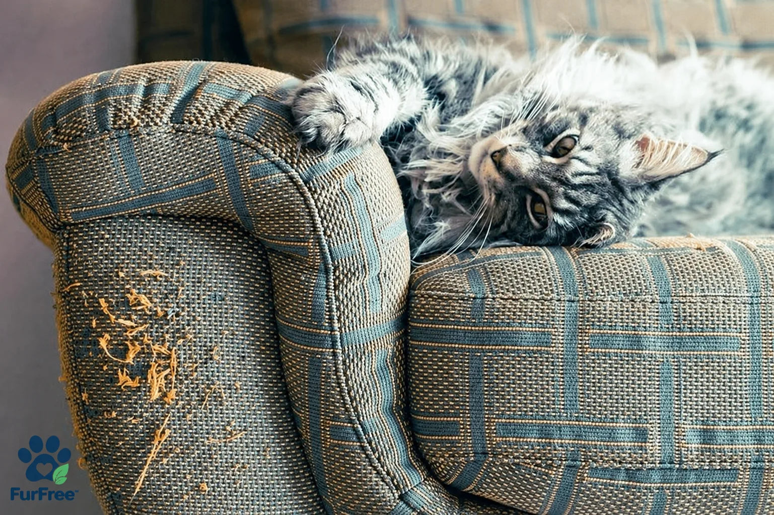 KIVELORA Interactive Cat Scratcher & Play Bed
