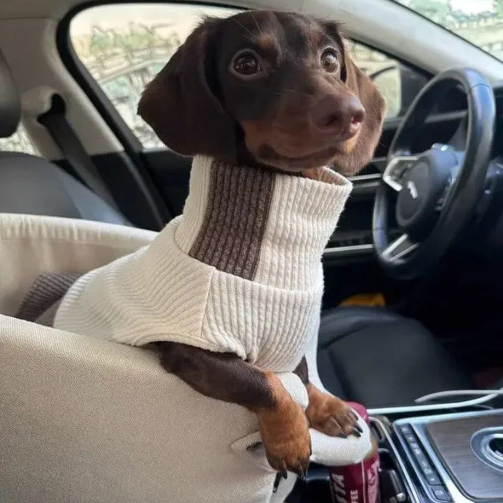 Small dog using a beige FurFree pet car seat in the front passenger area