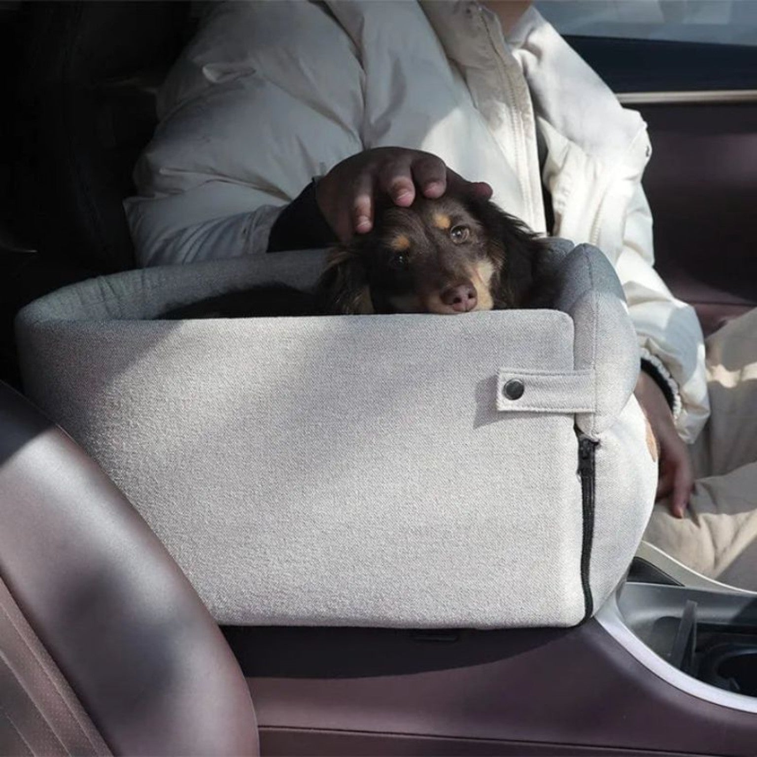 Small dog relaxing in a gray FurFree pet car seat during a car ride