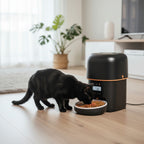 Cat eating from Kivelora AutoFeed Essential automatic pet feeder