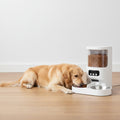 KIVELORA FeedCam Pro 1080 smart pet feeder with dog