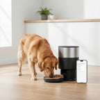 KIVELORA SmartFeed Pro automatic feeder with dog and smartphone app