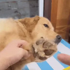 FurFree Precision Pet Paw Trimmer demonstration video 2