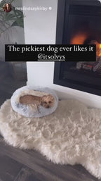 FurFree Calming Plush Pet Bed soft snug pet comfort video