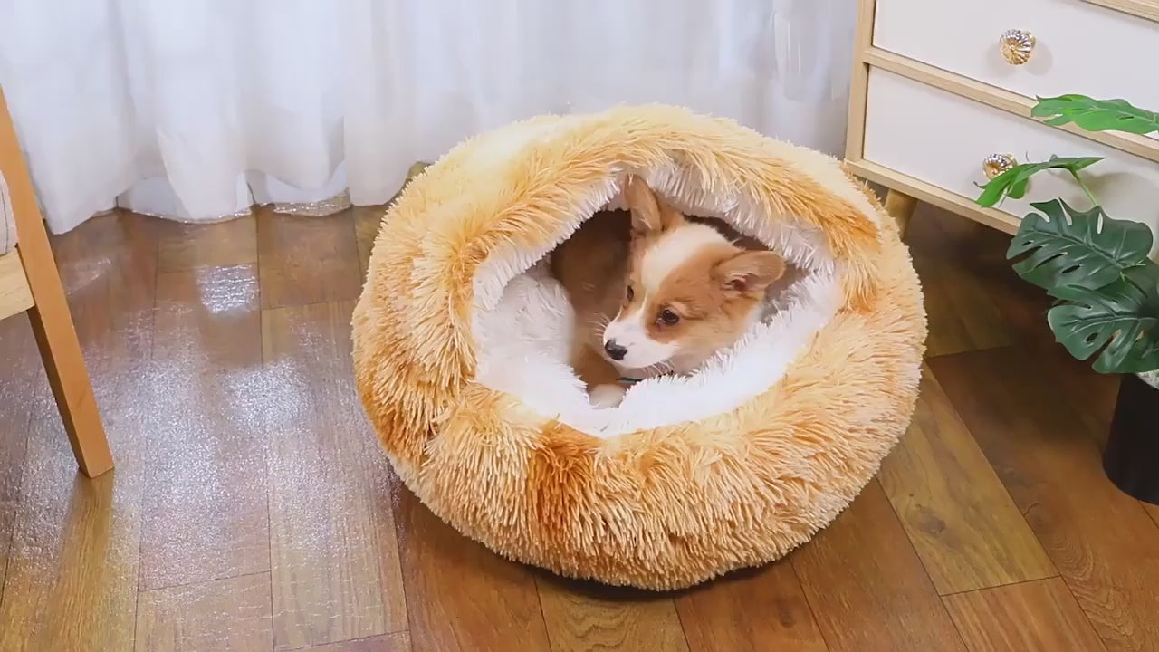 FurFree Calming Plush Pet Bed demonstration video