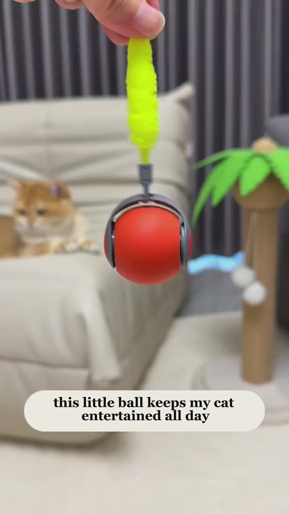 FurFree Interactive Motion Pet Toy demonstration video 1