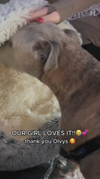 FurFree Calming Plush Pet Bed cozy cocoon-style comfort video