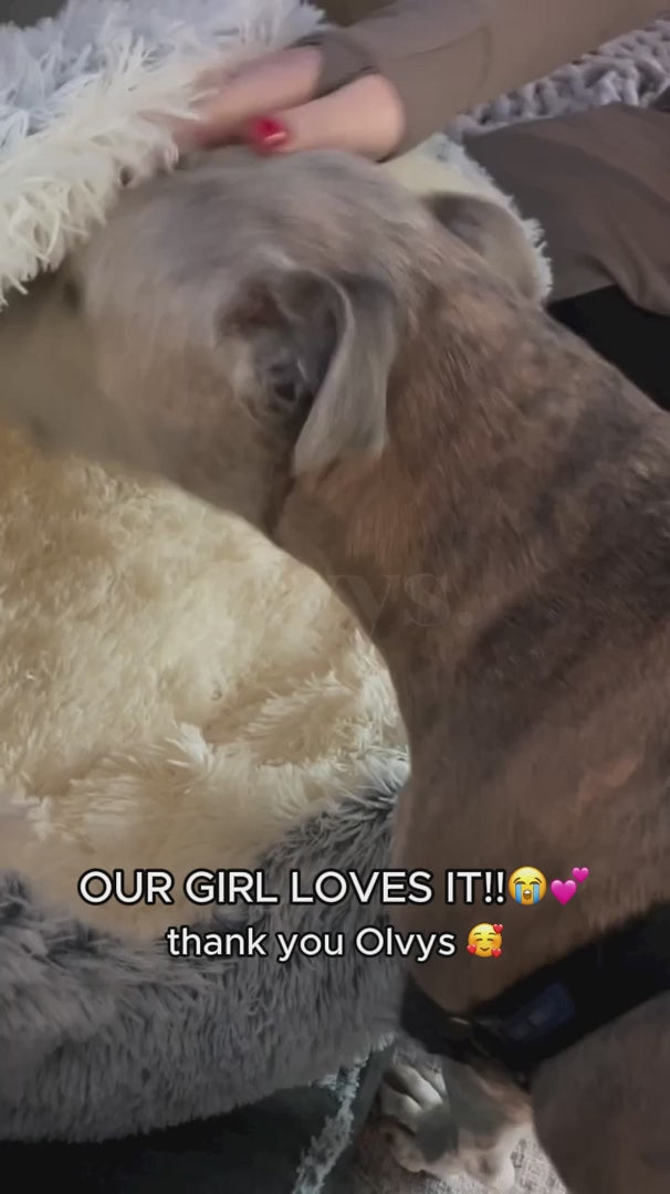 FurFree Calming Plush Pet Bed cozy cocoon-style comfort video