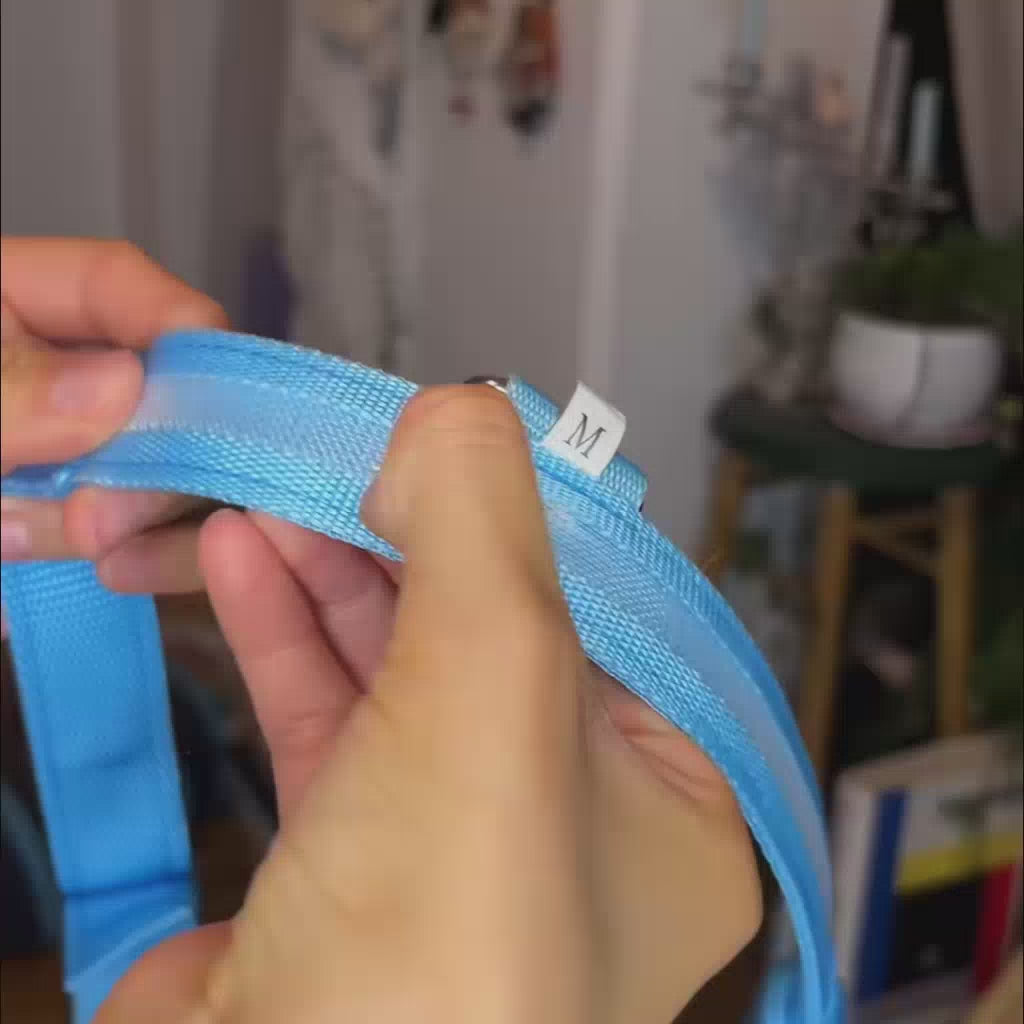 FurFree Rechargeable LED Pet Collar demonstration video
