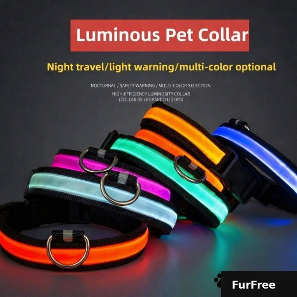 KIVELORA Rechargeable LED Pet Collar