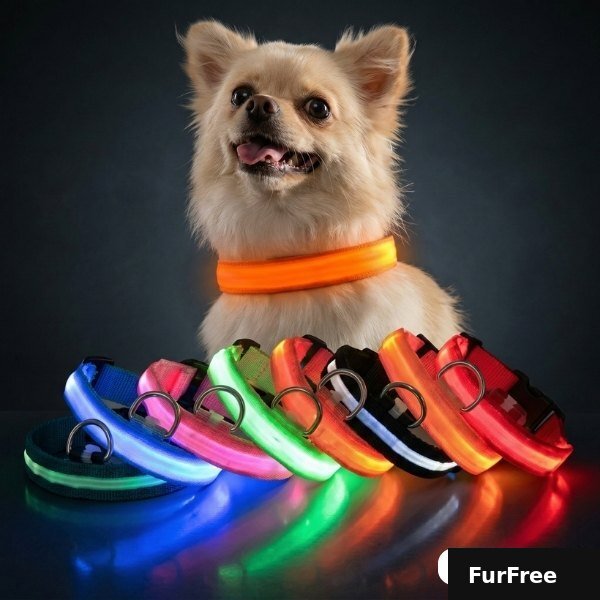 KIVELORA Rechargeable LED Pet Collar