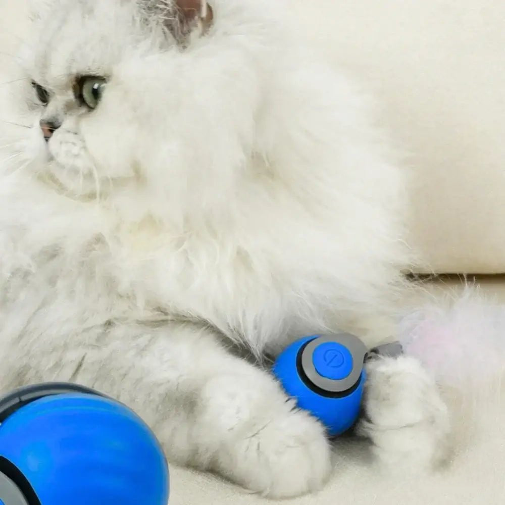 KIVELORA Interactive Motion Pet Toy