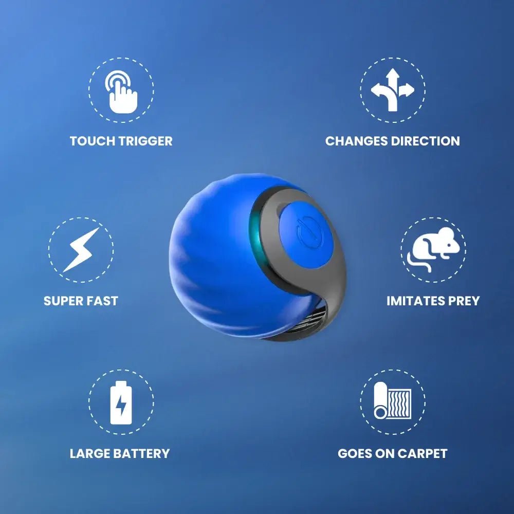 KIVELORA Interactive Motion Pet Toy