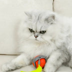 KIVELORA Interactive Motion Pet Toy