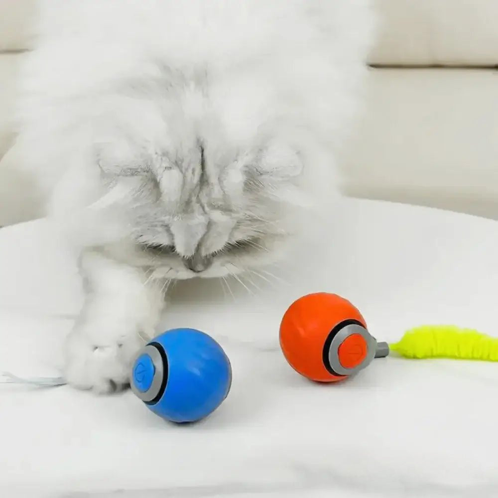 KIVELORA Interactive Motion Pet Toy