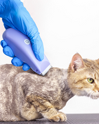 KIVELORA Quiet Pet Grooming Clipper